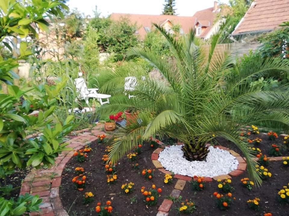 Апартаменти Napfuerdo Apartman *